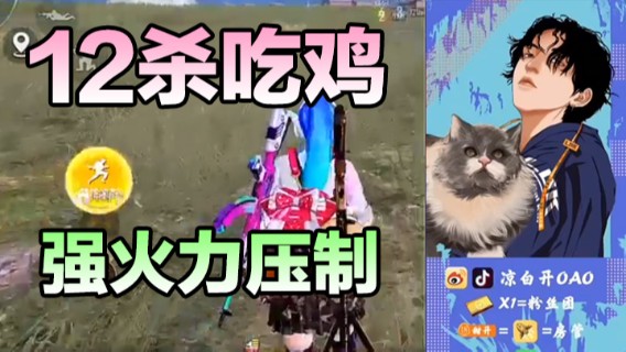 12杀吃鸡，强火力压制，你有啥招