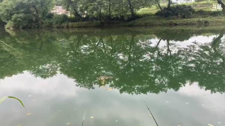 【2021-06-17 08点场】魅力生活i：早上鱼口怎么样？