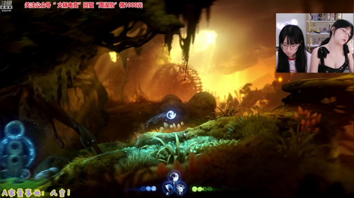 我在斗鱼看不2不叫周淑怡直播英雄联盟