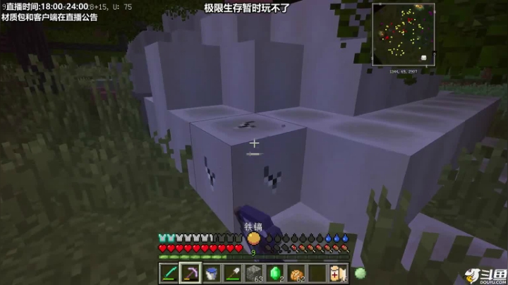 【2021-06-17 19点场】九哥是谁呀：【九哥】极限生存X