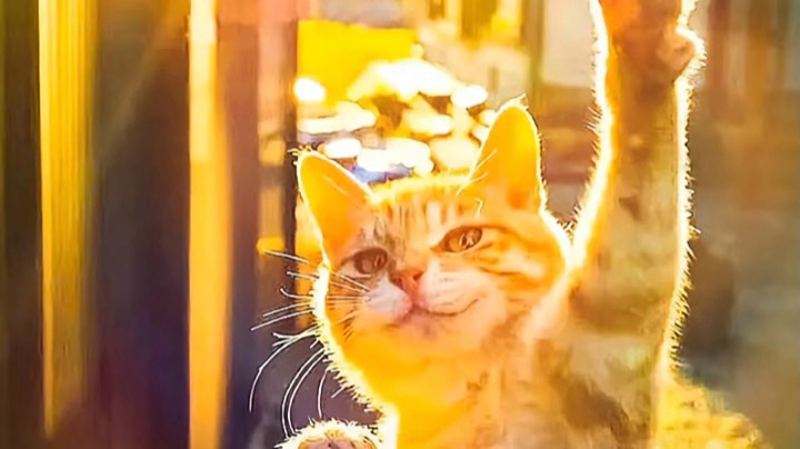 jj