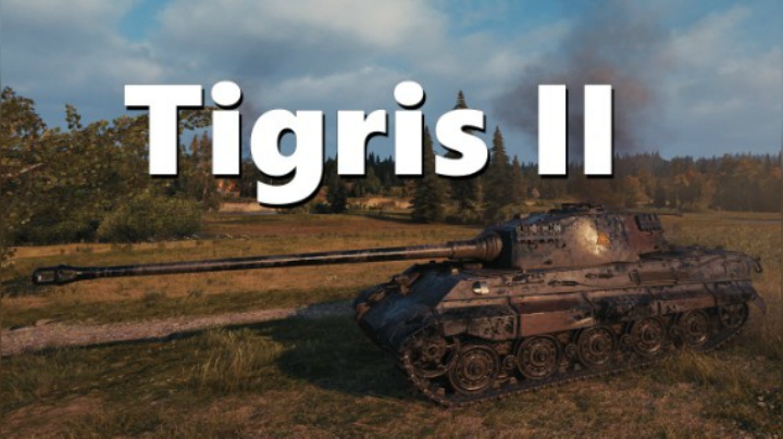 虎王 :猛虎出闸所向无敌