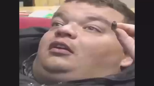 【搞笑】忍住别笑！憋住12分钟你就赢了！