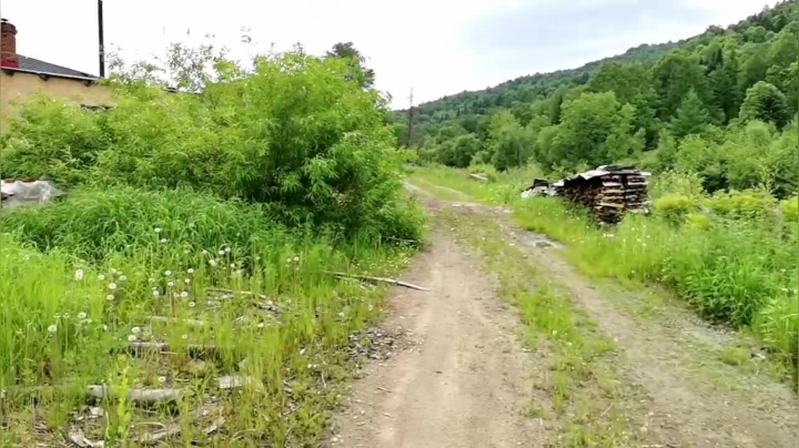 【2021-06-15 14点场】在线天文：夏天的二浪河