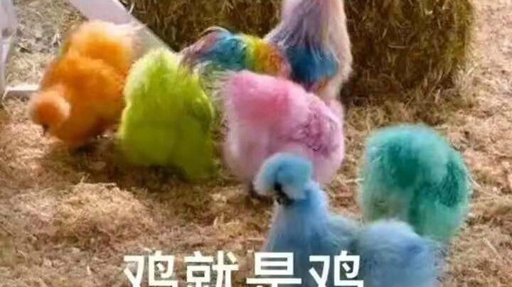 好像打死了南枫giegie