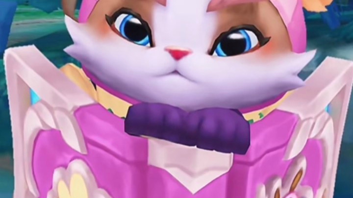 4直播回看