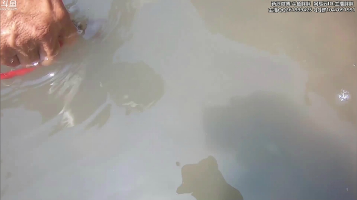 【2021-06-20 03点场】胖胖灬：胖胖OB：RNG\TES\IG\韩服开打