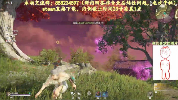 永劫无间录像