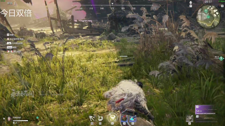 【永劫无间】寅子的精彩时刻 20210620 18点场