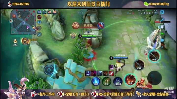 击杀剪辑之鸟儿吃虫