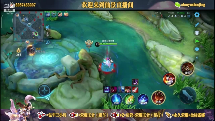 无法咯这鸟儿