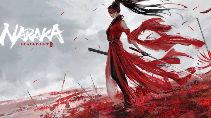 小白武侠大战
