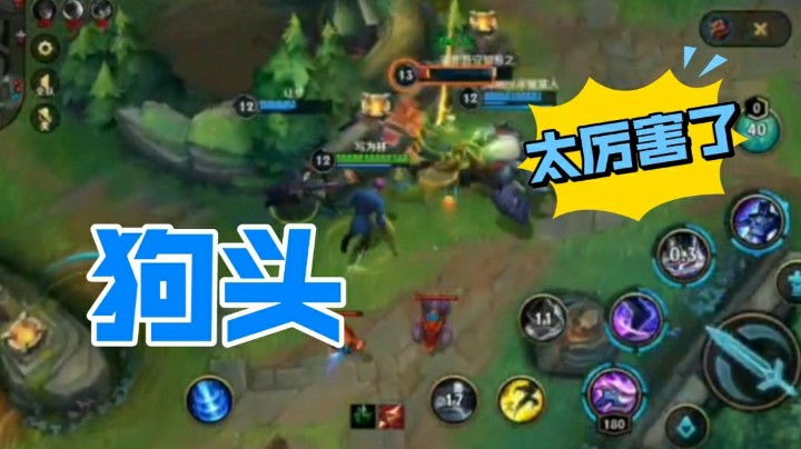 英雄联盟手游：狗头进场无可匹敌，你认为这个狗头厉不厉害？