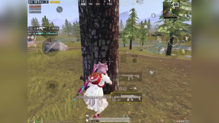 和平精英：芦苇沼逛一逛