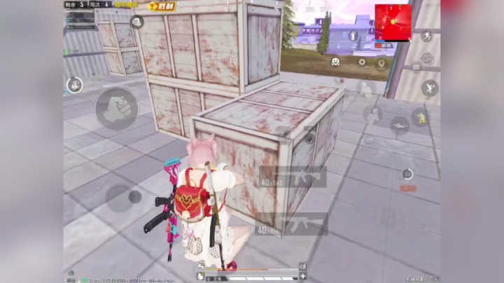 和平精英：看着看着就吃鸡了