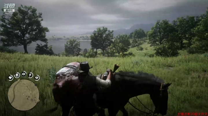 【2021-06-20 21点场】肖雕：斗鱼第一求关注主播