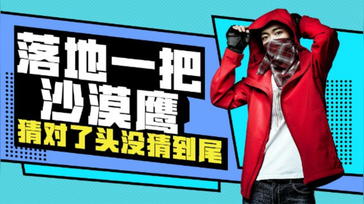 【花老湿日记】落地一把沙漠之鹰，我猜对了开头猜不透结尾！