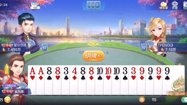 飞飞牌