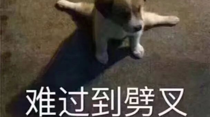 不吃鸡不下播