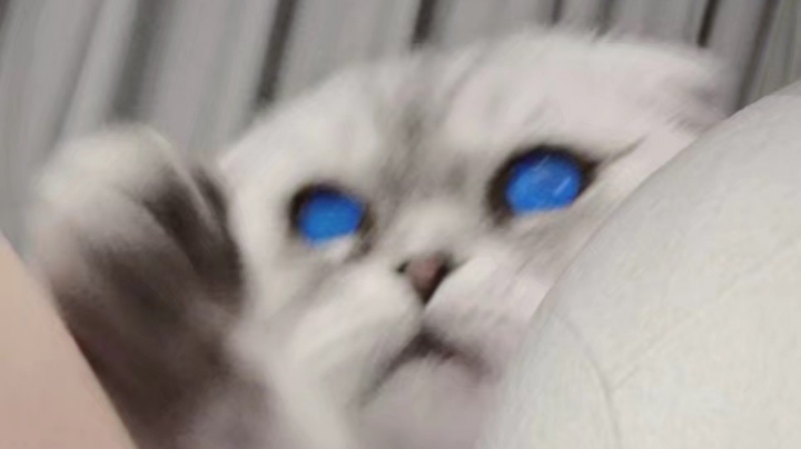 喝茶上头