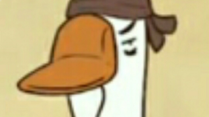 舒雁