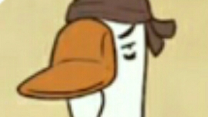 舒雁
