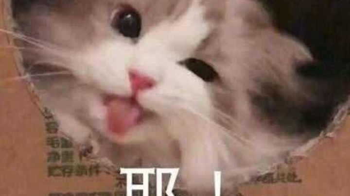 太上头