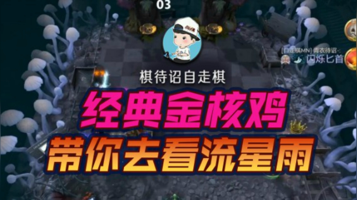 金核恰之带你去看流星雨