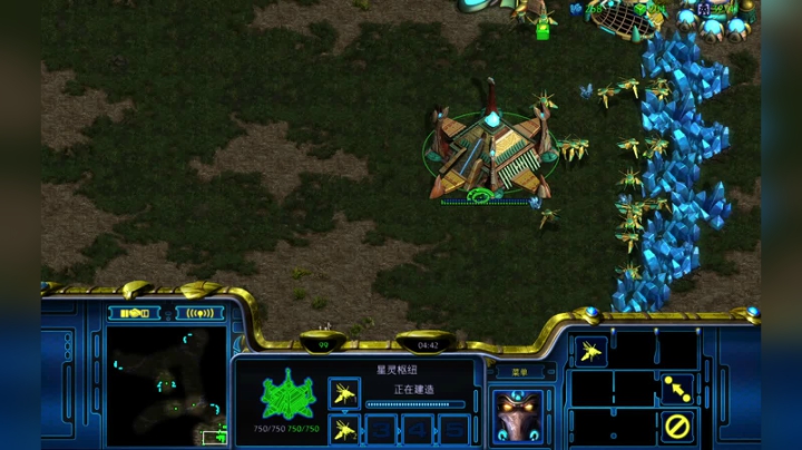 星际争霸pvt 甲虫开局