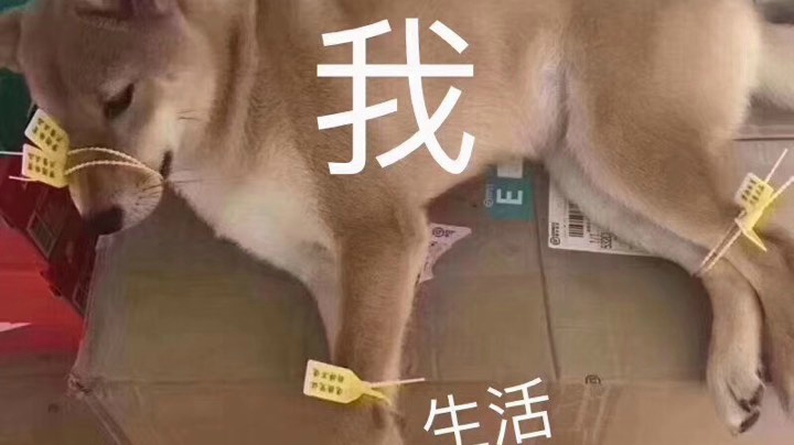 绿色地狱 日常直播