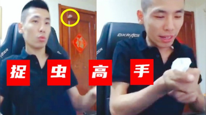 旭旭宝宝：看到没有，立马我就捉住！
