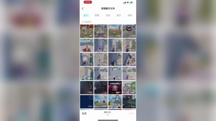 照片全是游戏