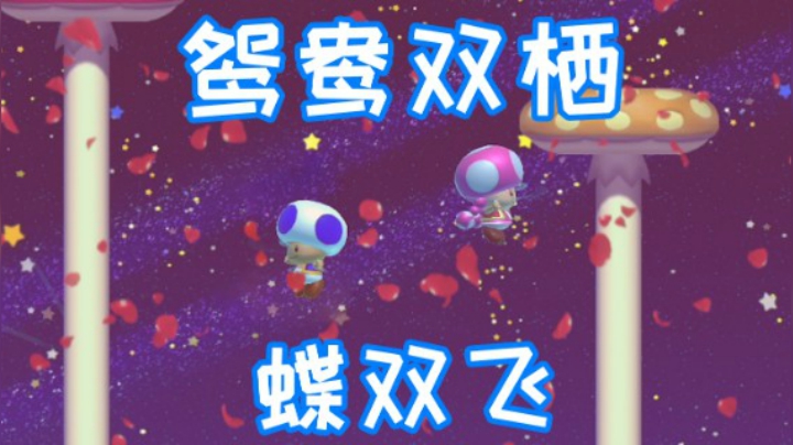 鸳鸯双栖蝶双飞~