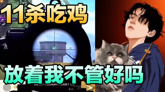 11杀吃鸡，放着我不管好吗