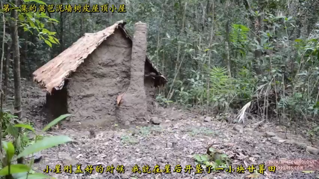 户外空手发展祖师爷P17_甘薯田的收获 澳洲小哥高清字幕版