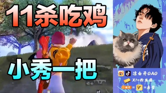 11杀吃鸡，小秀一把