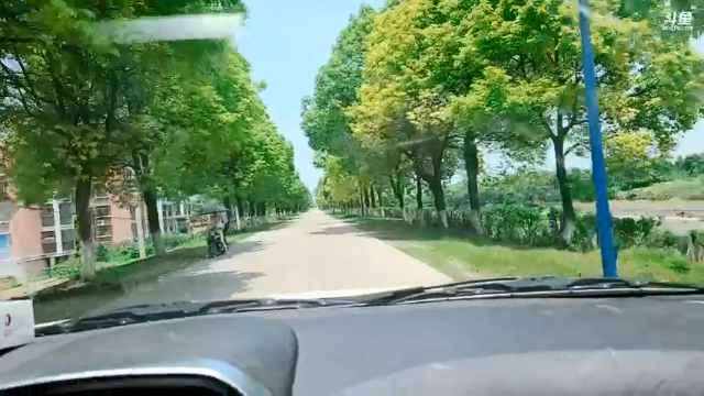 【2021-06-24 11点场】洪湖小肖：12点开播抓甲鱼