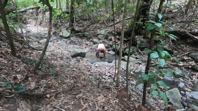 户外空手发展祖师爷P50_砖砌的砖窑澳洲小哥高清字幕版
