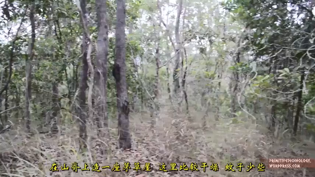 户外空手发展祖师爷P18_山上的茅草屋 澳洲小哥高清字幕版