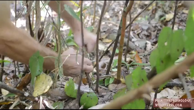 户外空手发展祖师爷P12_藤筐藤篓和石斧 澳洲小哥高清字幕版