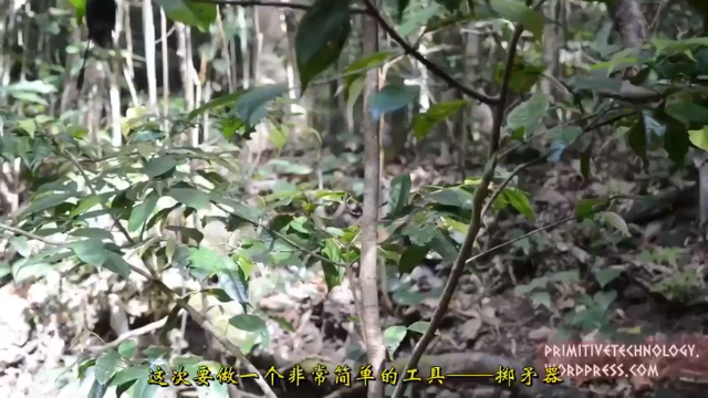 户外空手发展祖师爷P21_掷矛器 澳洲小哥高清字幕版