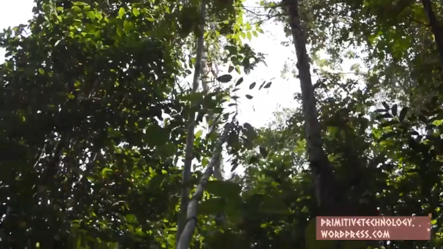 户外空手发展祖师爷P11_投石索 澳洲小哥高清字幕版