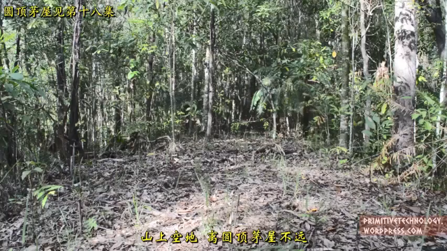 户外空手发展祖师爷P23_带床的草棚 澳洲小哥高清字幕版