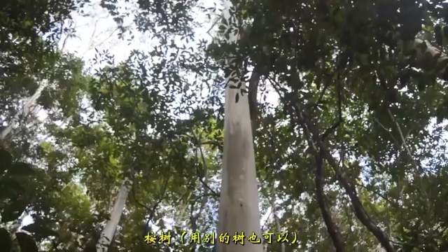 户外空手发展祖师爷P39_草木灰水泥 澳洲小哥高清字幕版