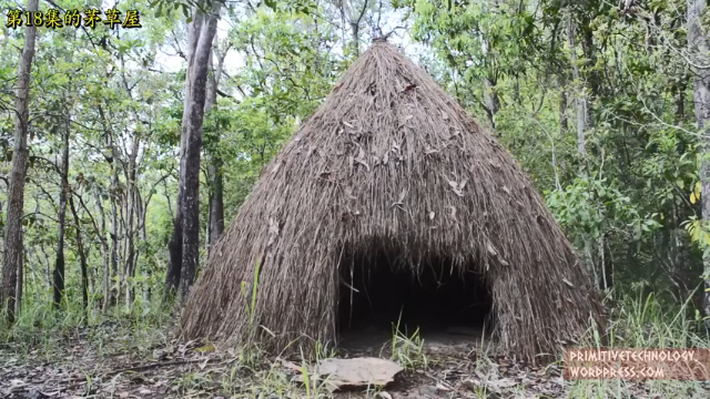 户外空手发展祖师爷P24_栽培木薯和大薯 澳洲小哥高清字幕版