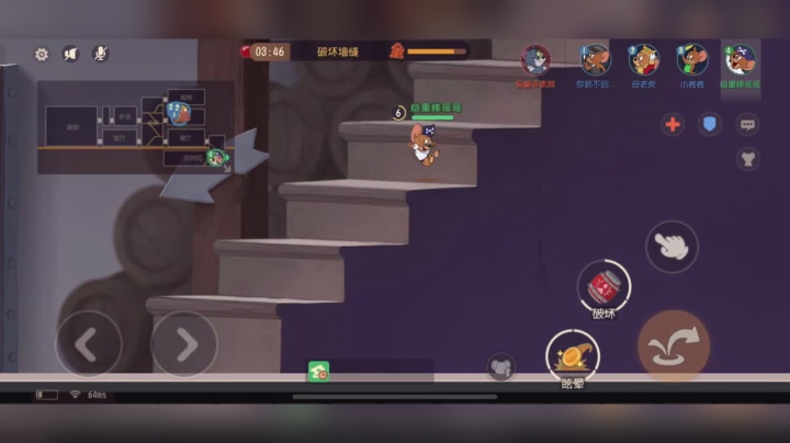 这只猫直接蒙圈了