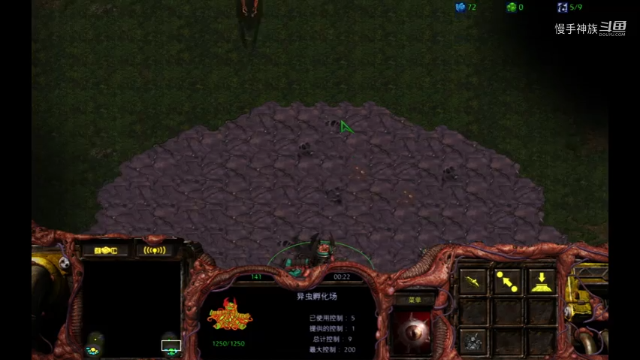 星际争霸2v2大招5D开局