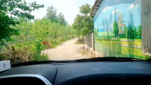 【2021-06-25 13点场】洪湖小肖：12点上线