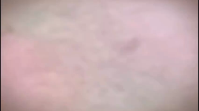 重操旧业，这期就谈谈当前版本配将！.mov