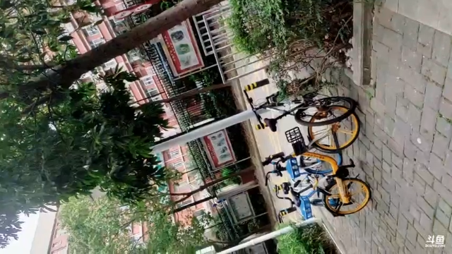 健康人生 绿色无毒